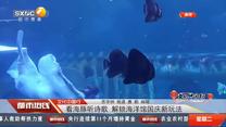 都市热线(2025-10-07)