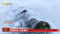 【大美陕西新画卷】寒露润染 山林叠彩