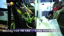 今日点击 (2025-10-09)