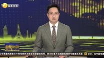 陕西榆林羊肉首次直供香港