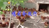 百家碎戏(2025-10-10)