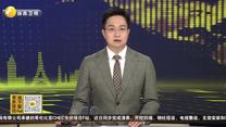 今年前8月陕西新能源汽车出口20万辆