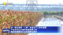 赵一德在调研“三秋”农业生产工作时强调 不误农时扎实做好抢收抢种工作 确保秋粮颗粒归仓秋播种足种好