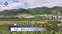 农村大市场 (2025-10-11)
