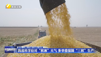 我省科学应对“秋淋”天气 多举措保障“三秋”生产