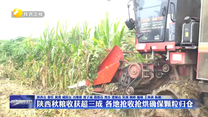 陕西秋粮收获超三成 各地抢收抢烘确保颗粒归仓