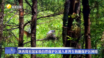 陕西周至国家级自然保护区加入世界生物圈保护区网络