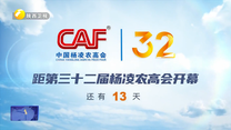 农高会倒计时13天