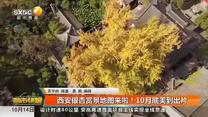 都市快报(2025-10-14)