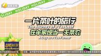 乌兹别克斯坦留学生在汉中体验茶叶采摘加工过程