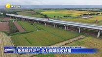 抢抓晴好天气 全力保障秋收秋播