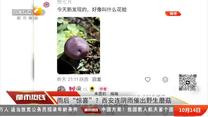 都市热线(2025-10-14)
