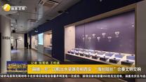 “碗礁一号”沉船出水瓷器亮相西安 “海丝陆丝”合奏文明交响