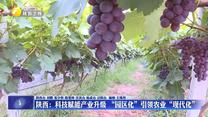 【在习近平新时代中国特色社会主义思想指引下】陕西：科技赋能产业升级  “园区化”引领农业“现代化”