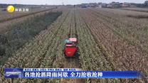 各地抢抓降雨间歇 全力抢收抢种