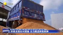 积极采取应对措施 全力推进秋收秋种