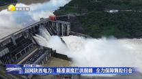 国网陕西电力：精准调度拦洪削峰  全力保障颗粒归仓