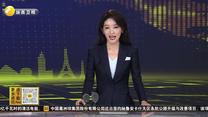 一杯“陕茶”的美国纽约之旅