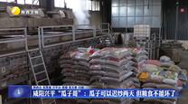 咸阳兴平“瓜子哥”：瓜子可以迟炒两天 但粮食不能坏了