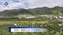 农村大市场(2025-10-16)