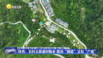 【在习近平新时代中国特色社会主义思想指引下】陕西：农村公路通村畅乡  既有“颜值”又有“产值”