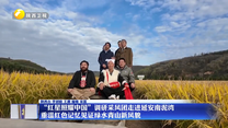 “红星照耀中国”调研采风团走进延安南泥湾 重温红色记忆见证绿水青山新风貌