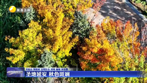 【大美陕西新画卷】圣地延安 秋色斑斓