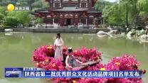 陕西省第二批优秀群众文化活动品牌项目名单发布