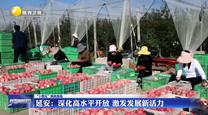 【“十四五”陕西答卷】延安：深化高水平开放  激发发展新活力