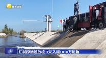 红碱淖增殖放流 3天入湖1010万尾鱼
