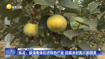 【“十四五”陕西答卷】杨凌：做强集体经济特色产业 绘就乡村振兴新图景