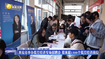 西安市舉辦低空經(jīng)濟(jì)專場招聘會(huì) 帶來超1500個(gè)低空經(jīng)濟(jì)崗位