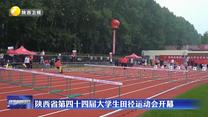 陜西省第四十四屆大學(xué)生田徑運動會開幕