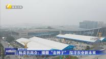 【農(nóng)高會觀察】楊凌農(nóng)高會：播撒“金種子” 探尋農(nóng)業(yè)新未來