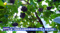 前三季度陜西水果網絡零售額突破161億元 穩(wěn)居全國第三