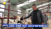 寶雞隴縣：科技賦能“領頭羊” 奶山羊全產業(yè)鏈產值突破80億元
