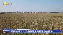 【直擊秋收一線】緊抓晴好天氣 我省各地全力推進小麥播種