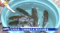 寶雞鳳縣17萬尾魚苗入水 助力生態(tài)修復