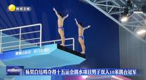杨昊白钰鸣夺得十五运会跳水项目男子双人10米跳台冠军