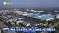 我省重点产业链集聚近八成上市企业和超六成专精特新企业