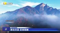 【大美陕西新画卷】峰峦尽染 彩林如画