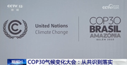 COP30气候变化大会上，有哪些分歧和共识？