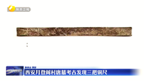 西安月登阁村唐墓考古发现三把铜尺