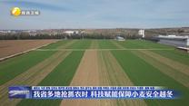 我省多地抢抓农时 科技赋能保障小麦安全越冬
