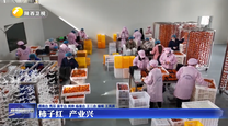 【三秦纵览】柿子红 产业兴