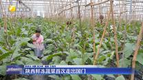 陕西鲜冻蔬菜首次走出国门