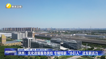 【深化拓展“三个年”活动 聚焦聚力打好“八场硬仗”】陕西：优化政策服务供给 专精特新“小巨人”迸发新活力
