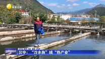 汉中：“冷水鱼”成“热产业”
