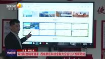 双线融合精准滴灌 西咸新区科技金融为企业注入发展动能