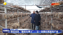 【我们的“十四五”】秦巴山区“蘑菇女博士”：让一朵菌长成富民产业